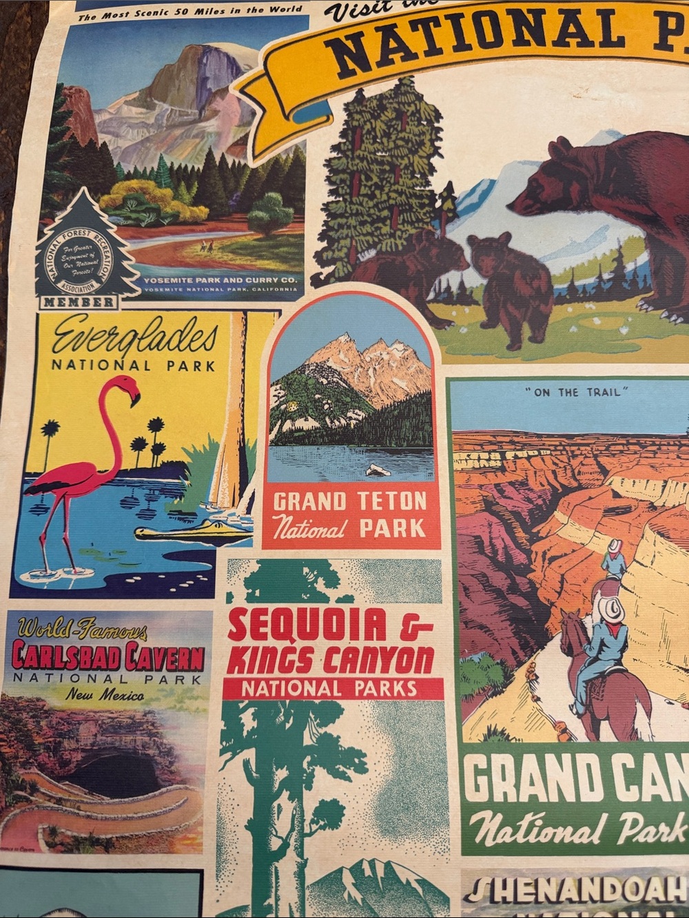 Cavallini Papers Poster 2017 Decorative Wrap 20X28 National Parks 🏞️ - Picture 3 of 12